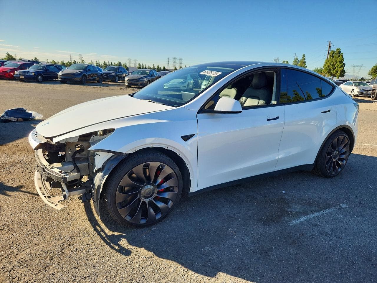 Tesla Model Y 2021 z USA
