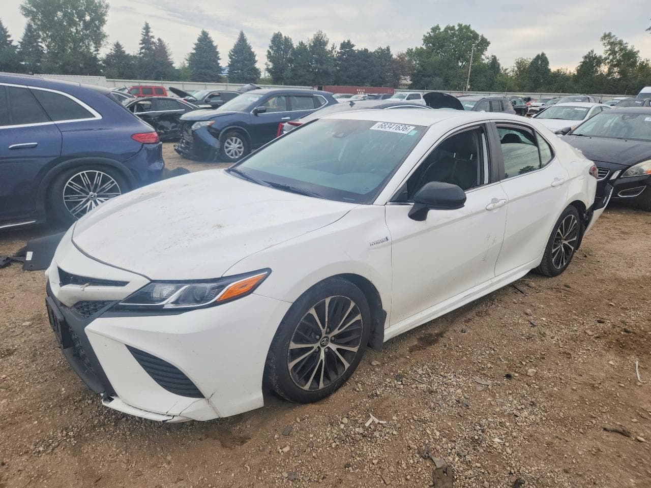2019 Toyota Camry Hybrid Se