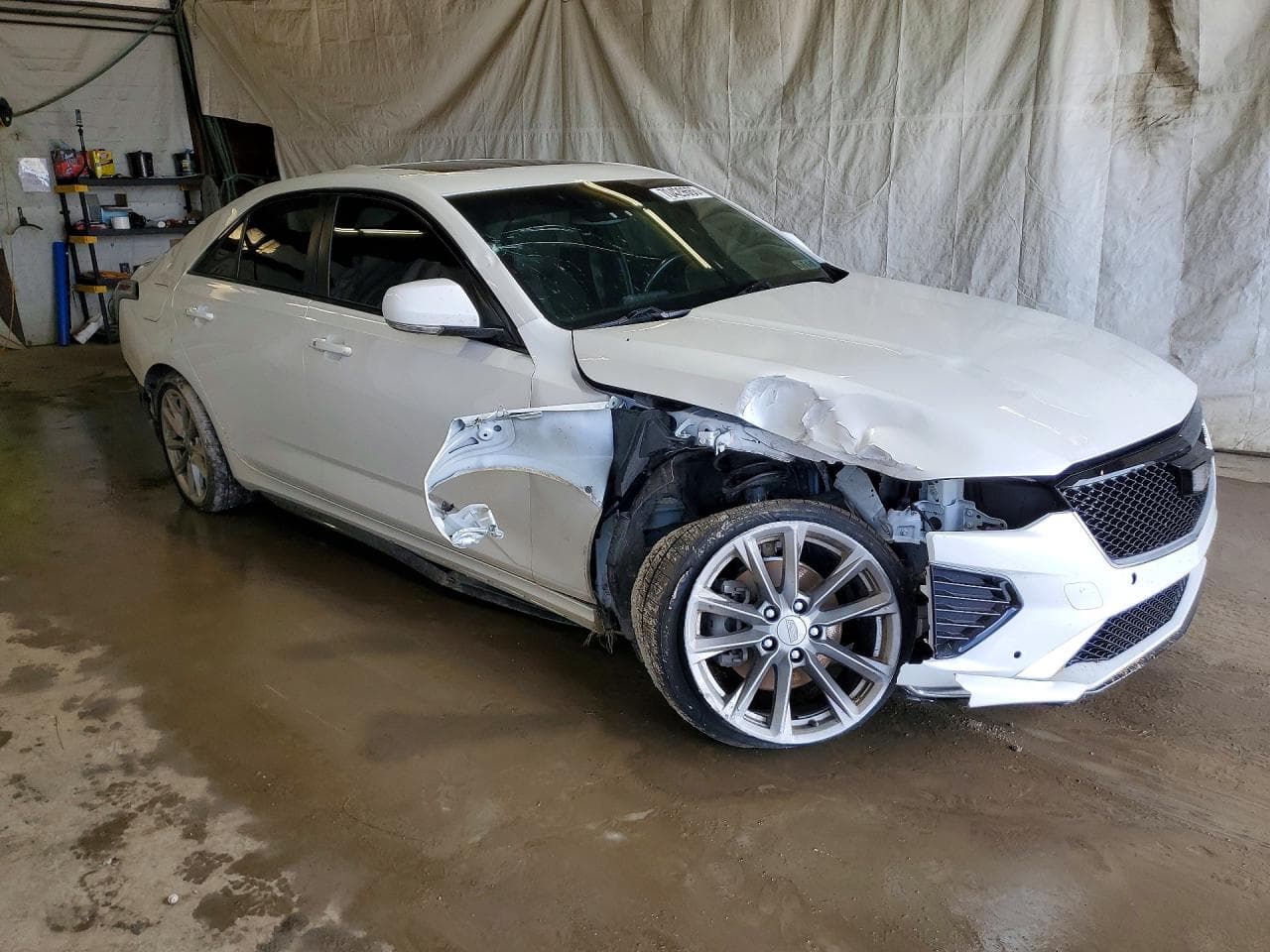 2023 Cadillac Ct4 Sport - foto 4