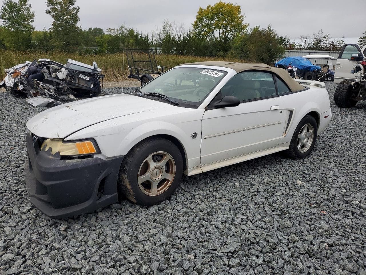 Ford Mustang 2004 z USA