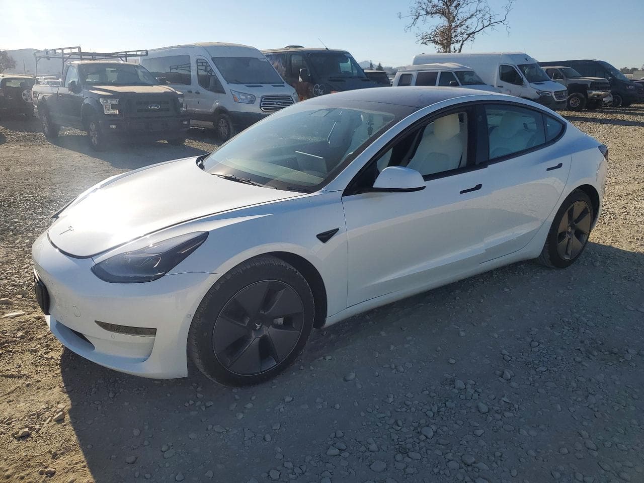 Tesla Model 3 2021 z USA