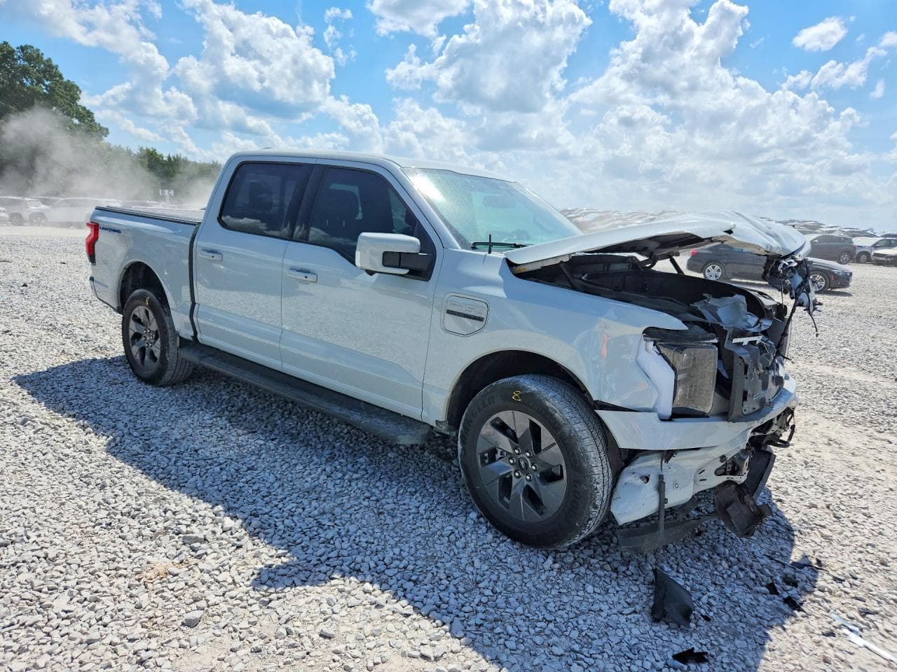 2023 Ford F150 Lightning Pro - foto 4