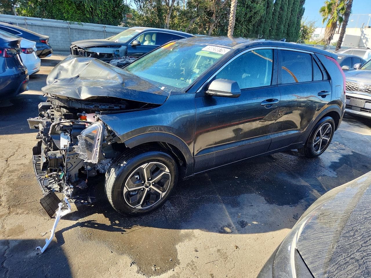 Kia Niro 2026 z USA