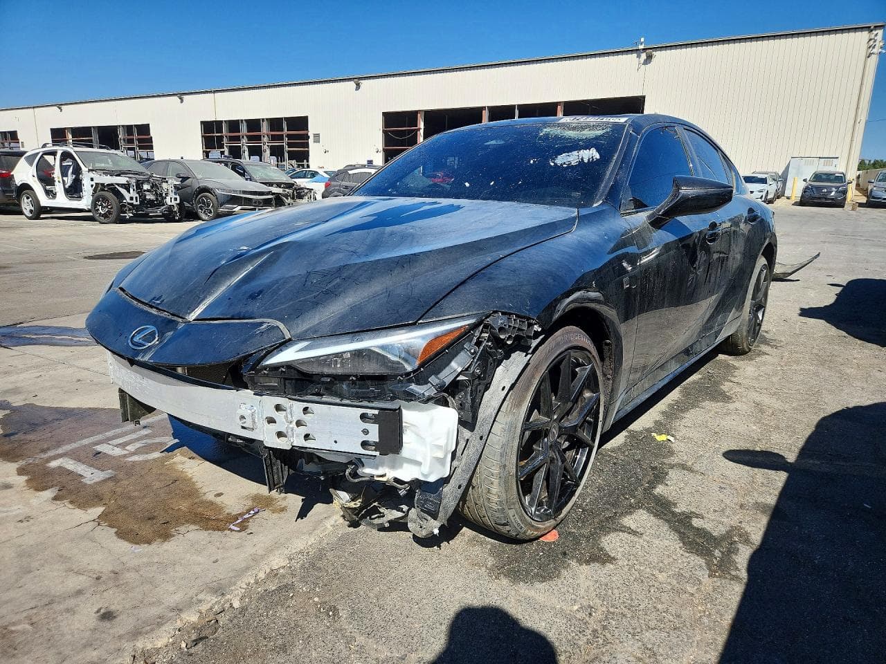 Lexus IS 2026 z USA