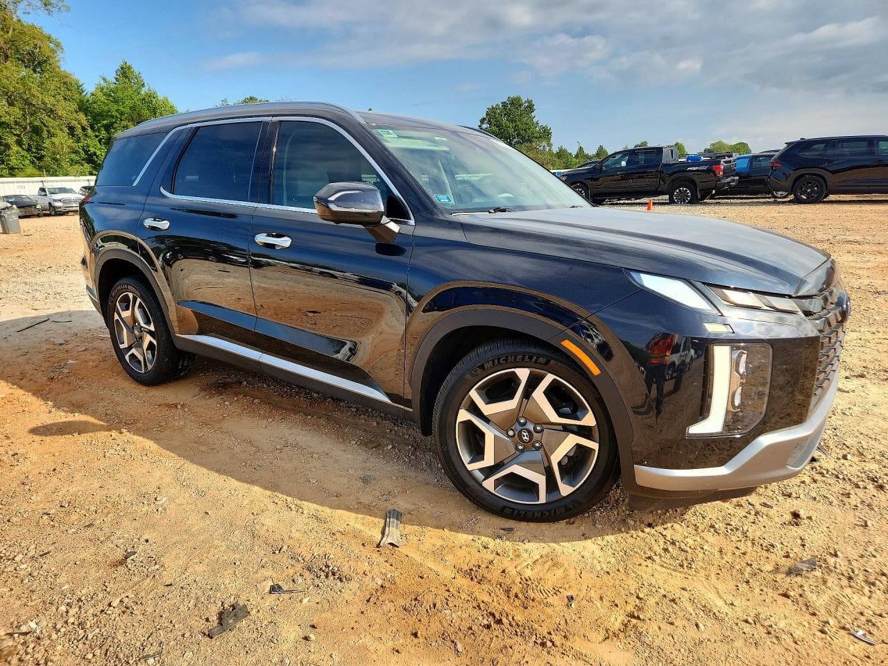 2023 Hyundai Palisade Limited - foto 4