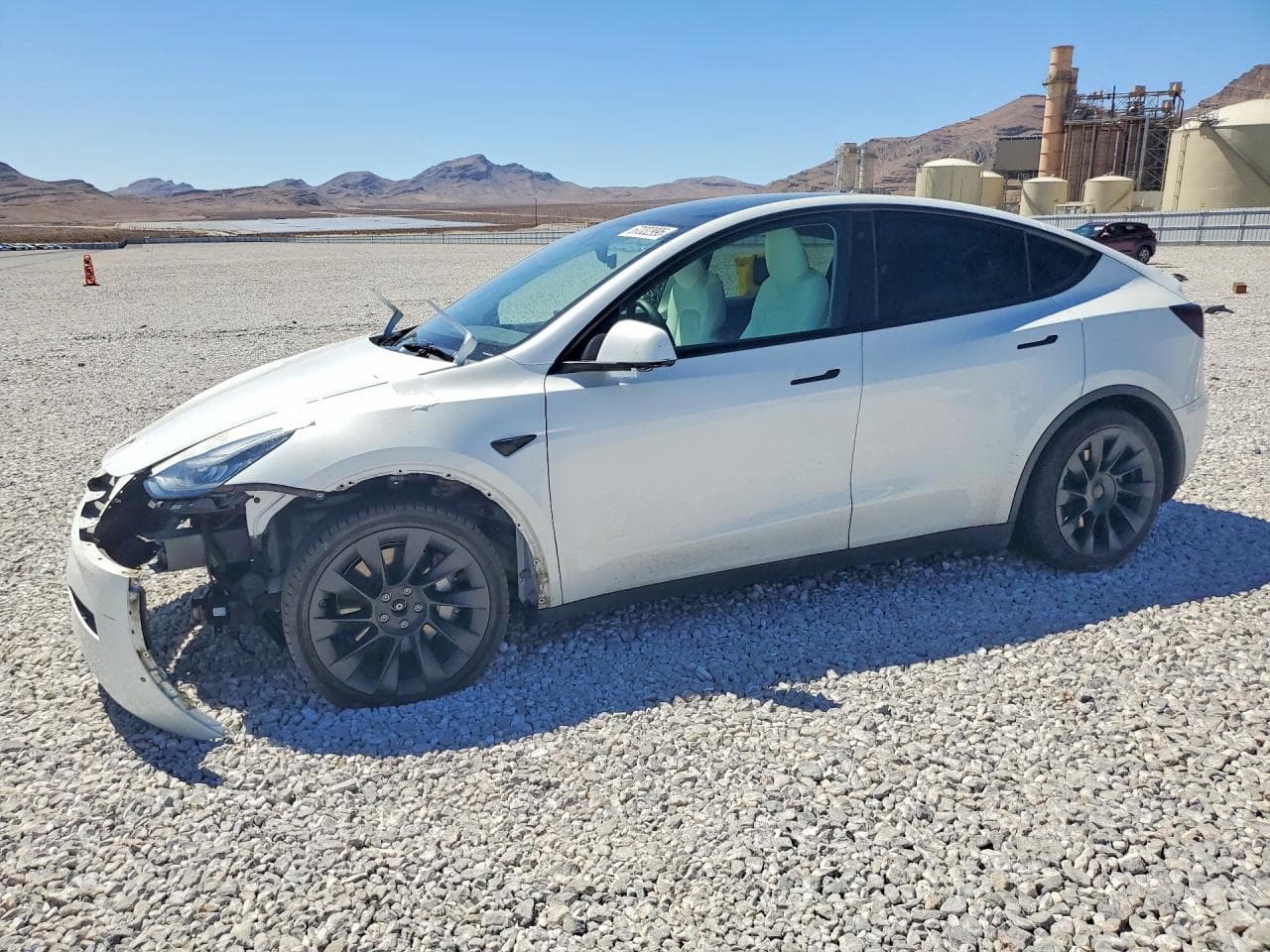 Tesla Model Y 2021 z USA