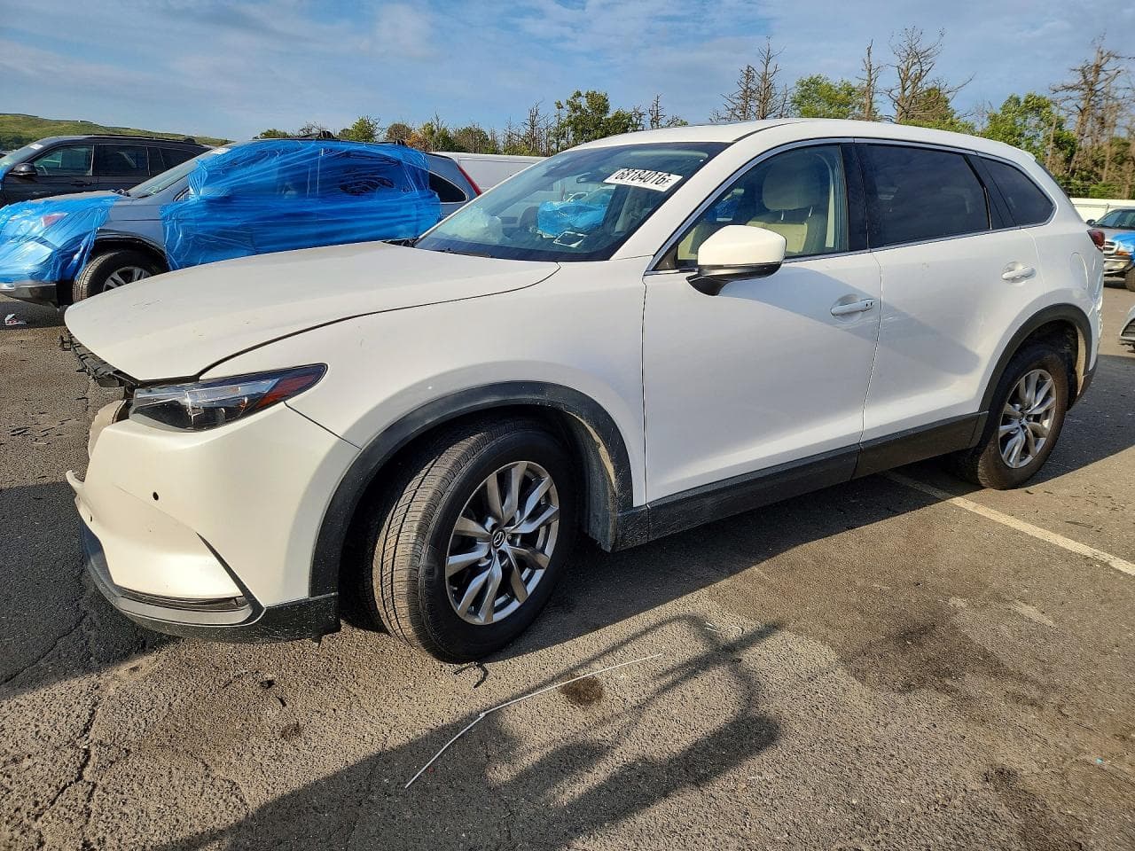 Mazda CX-9 2019 z USA