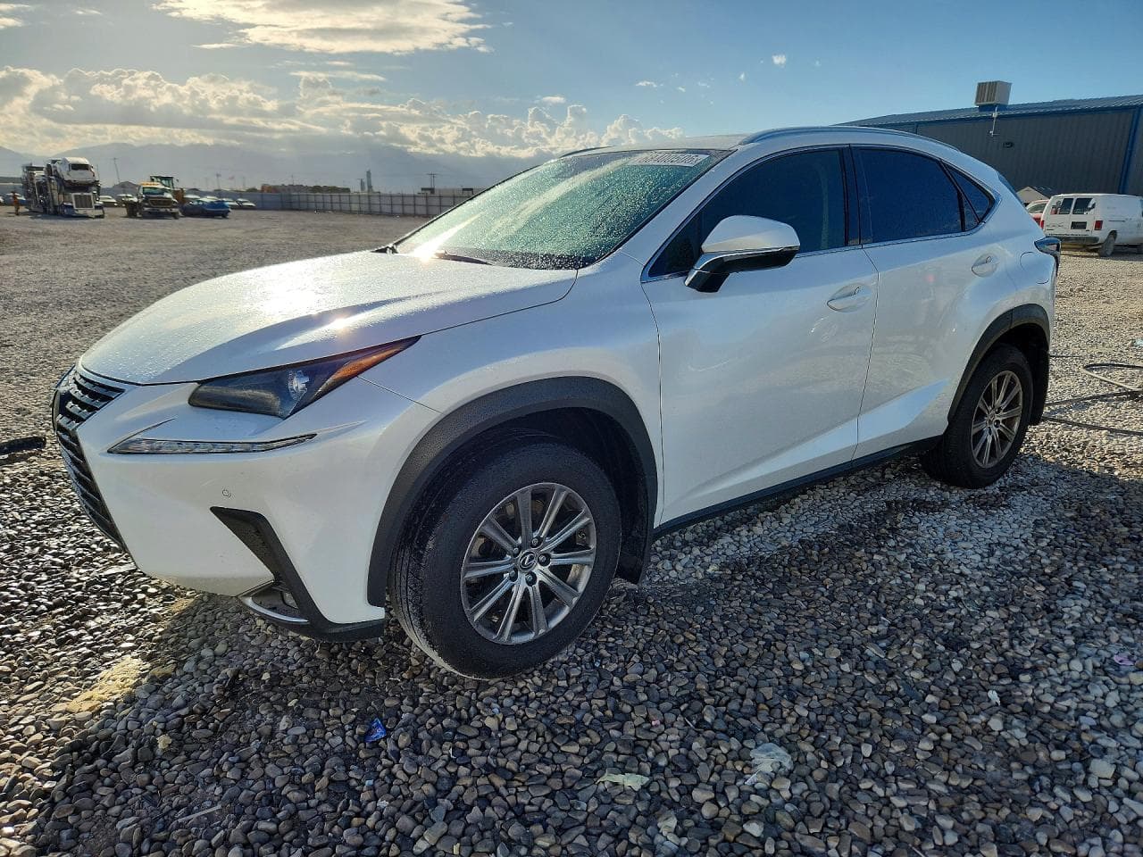 Lexus NX 2020 z USA