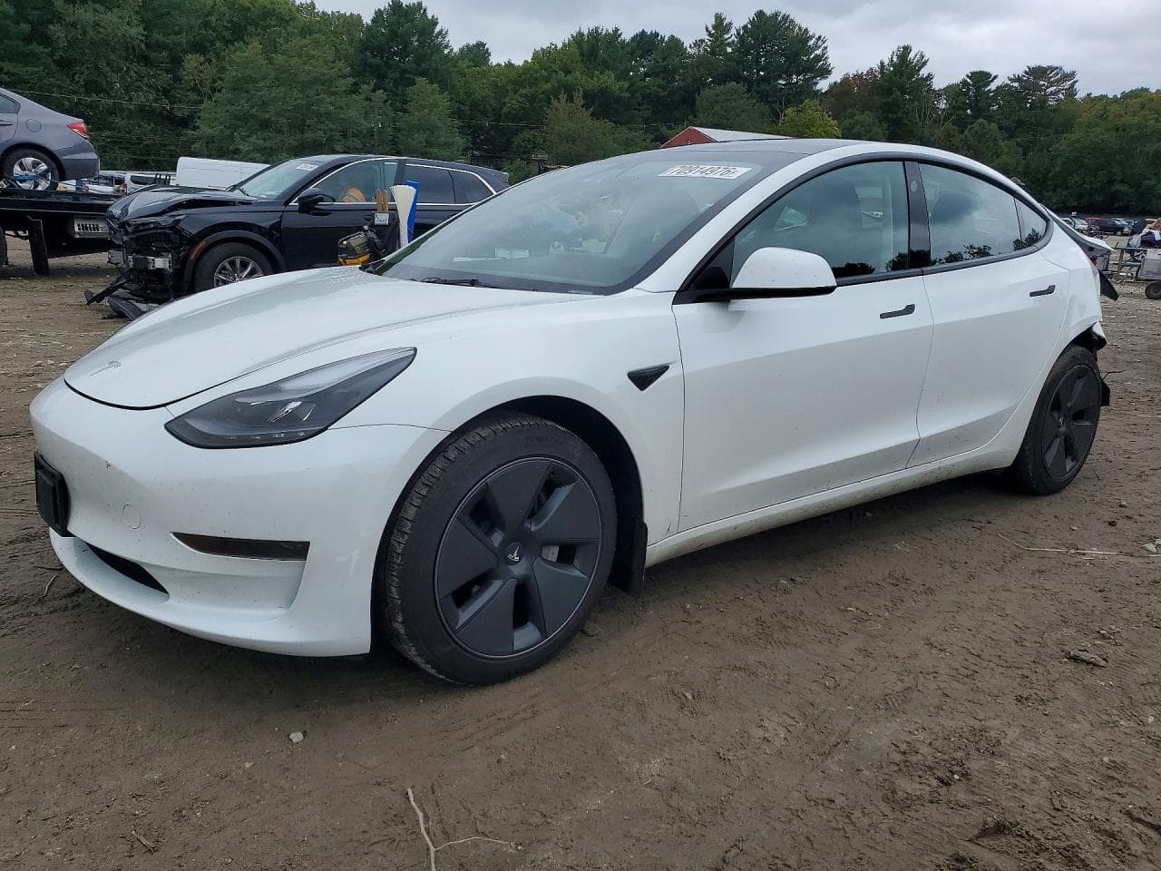Tesla Model 3 2023 z USA