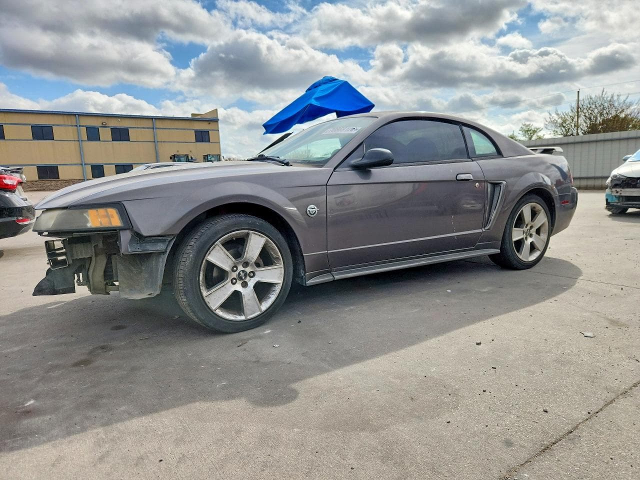 Ford Mustang 2004 z USA