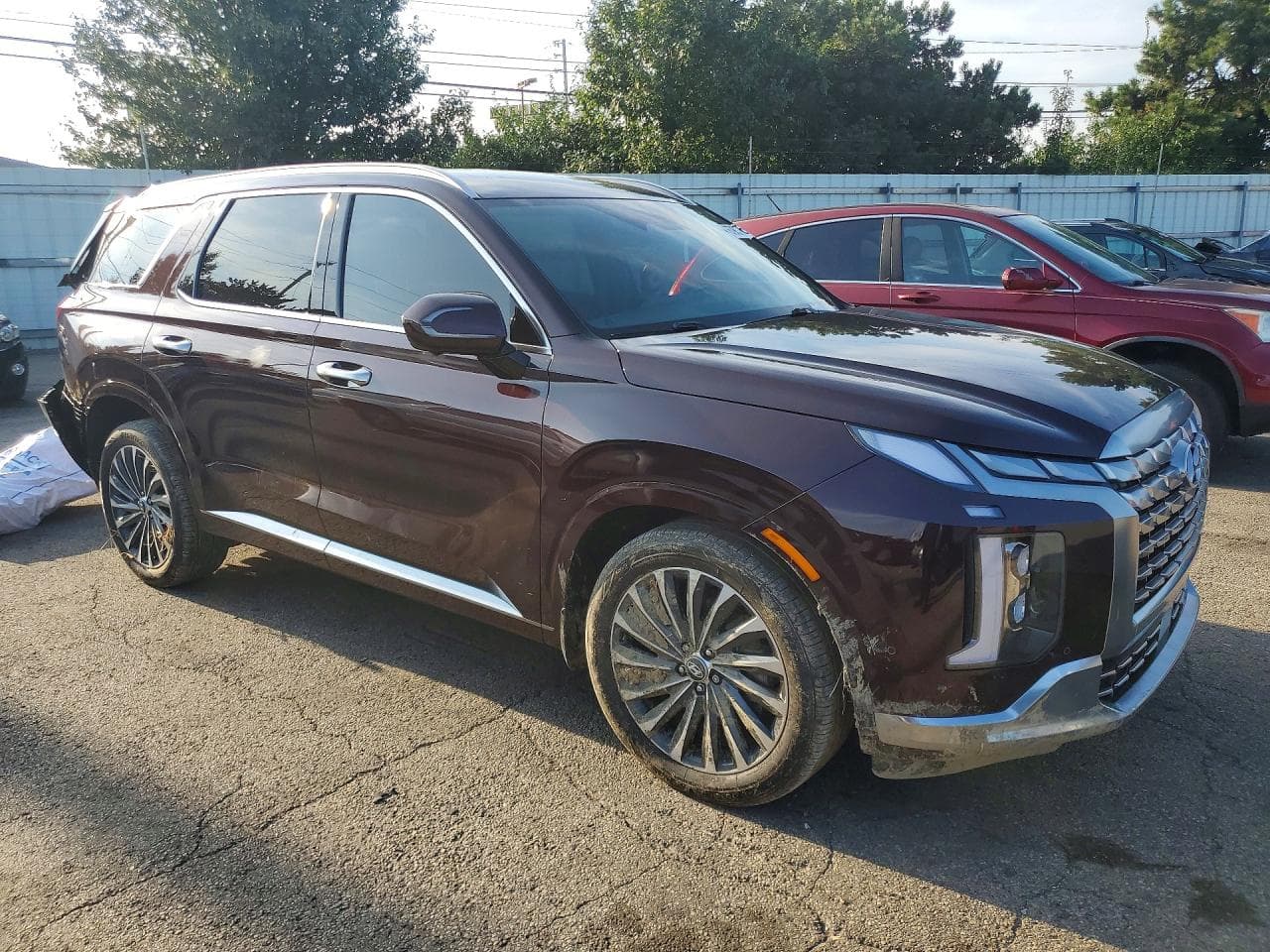 2024 Hyundai Palisade Calligraphy - foto 4