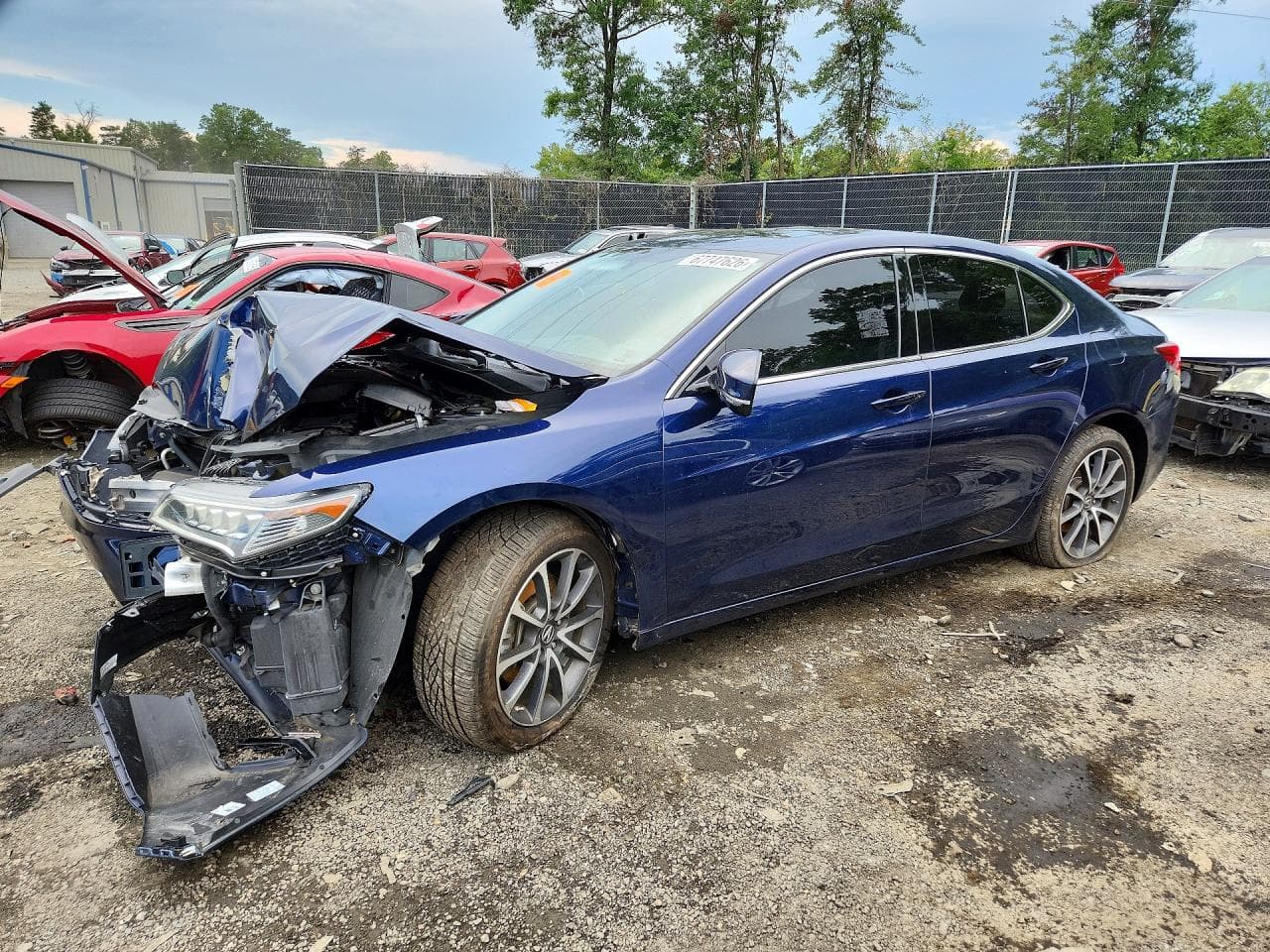 Acura TLX 2017 z USA