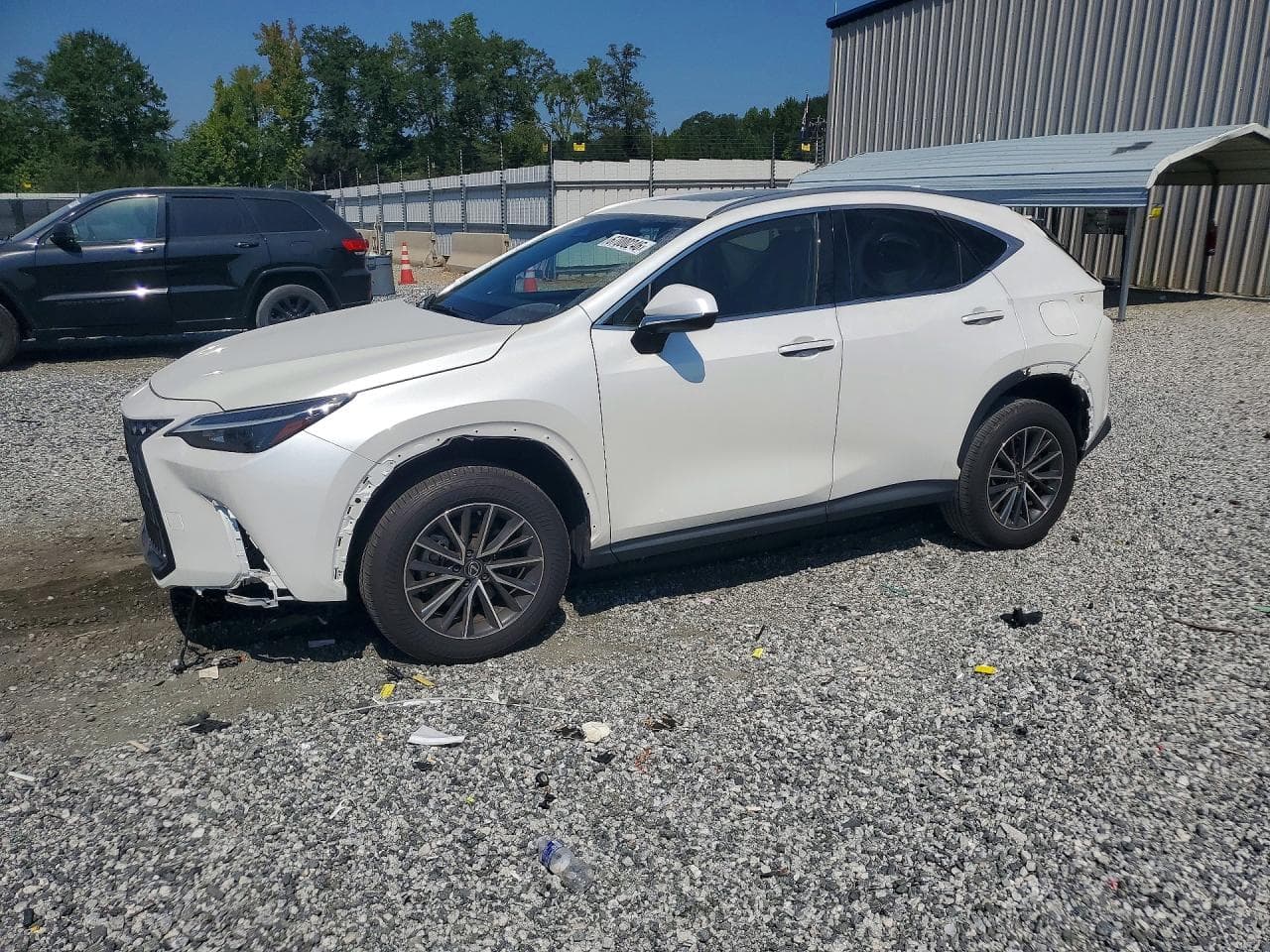 Lexus NX 2024 z USA