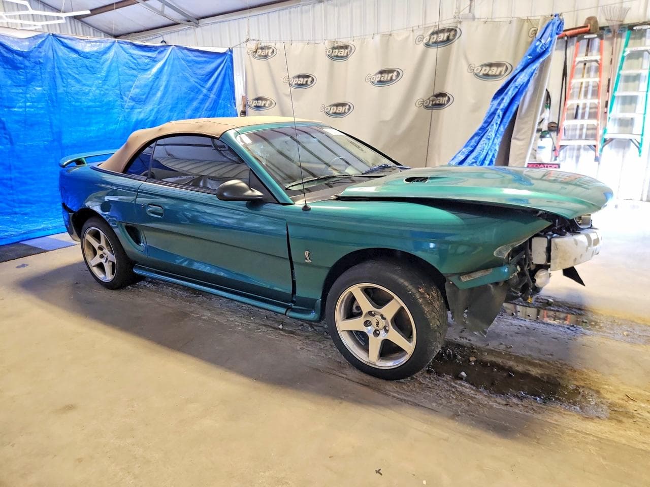 1997 Ford Mustang Cobra - foto 4