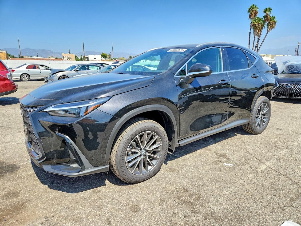 Lexus NX 2026 z USA
