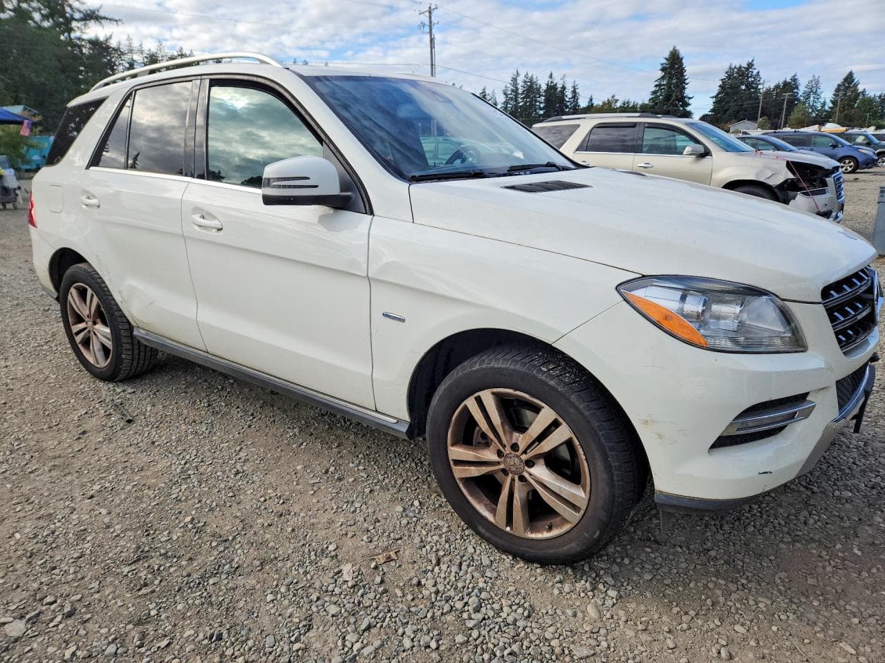 2012 Mercedes-Benz Ml 350 4Matic - foto 4