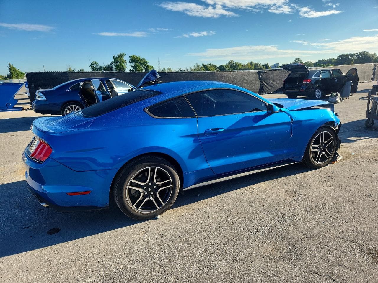 2019 Ford Mustang - foto 3