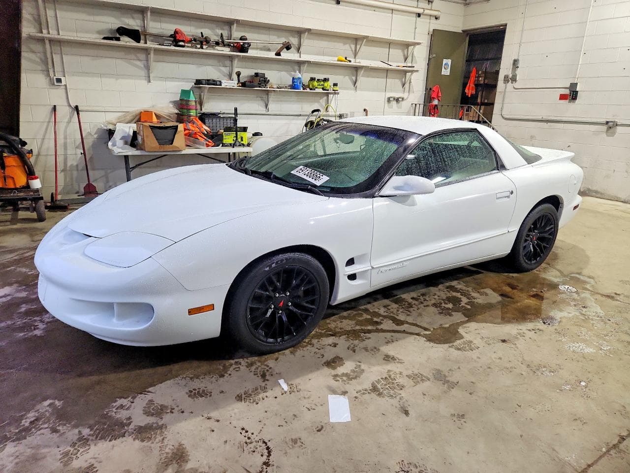 1998 Pontiac Firebird z USA
