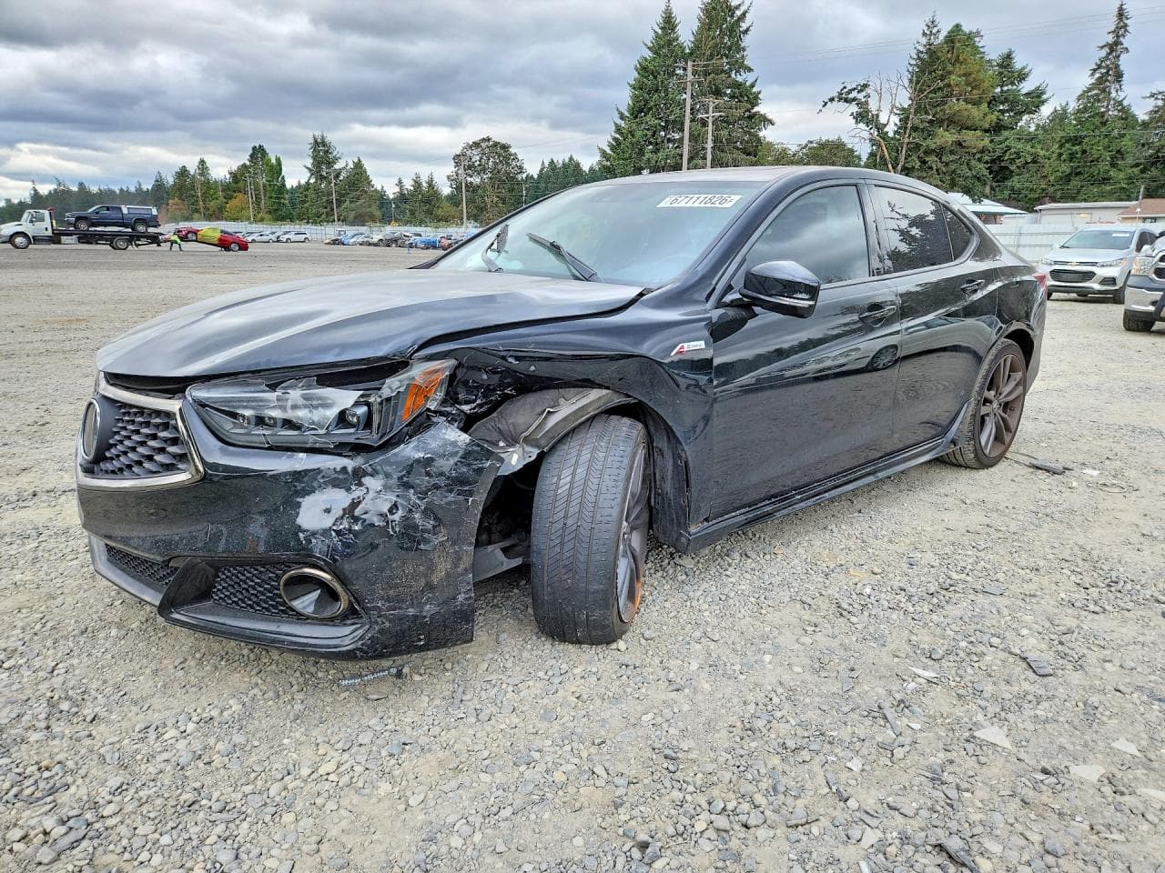Acura TLX 2019 z USA