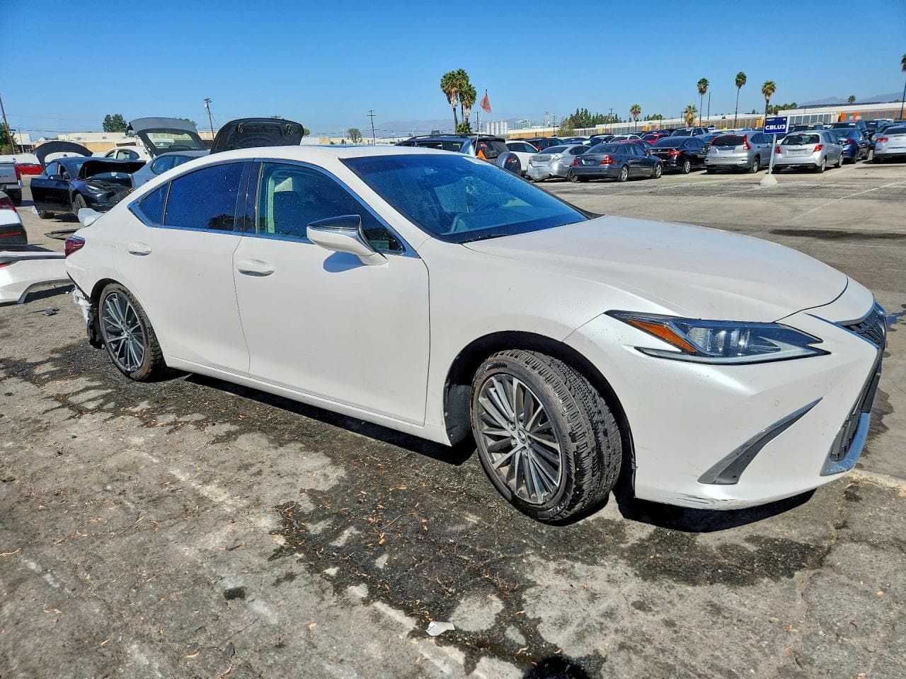 2024 Lexus Es 300H Base - foto 4