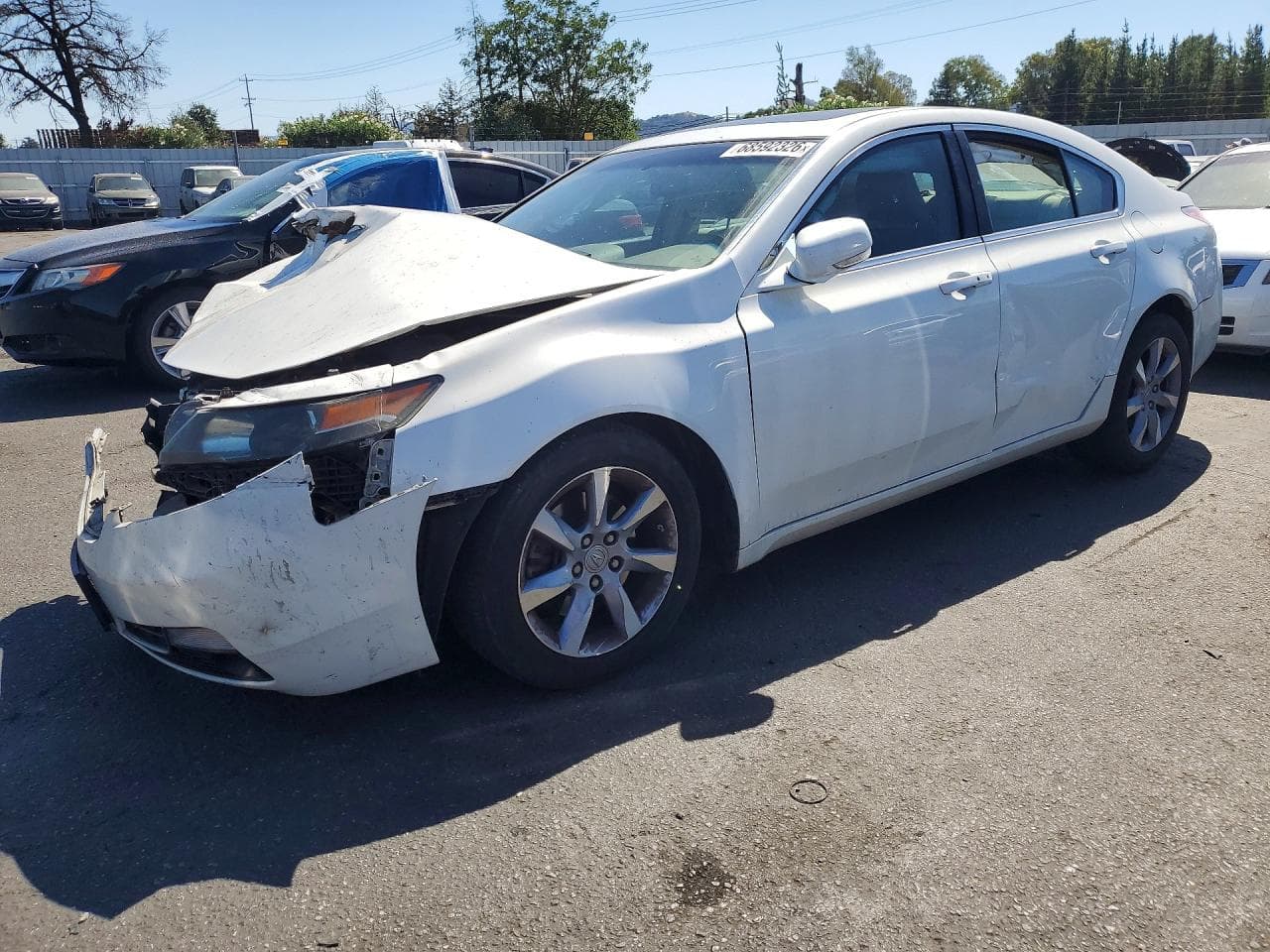 2023 Acura Tl Sh