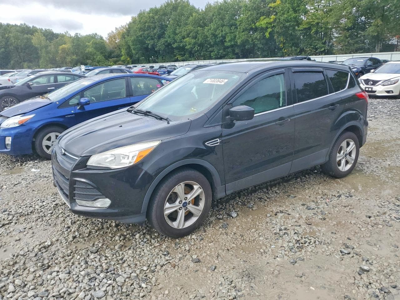 2015 Ford Escape Se