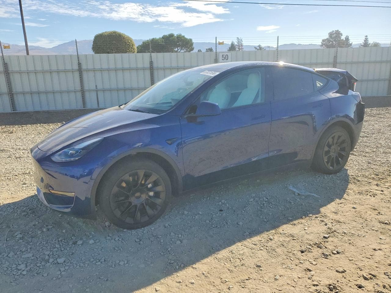 Tesla Model Y 2024 z USA