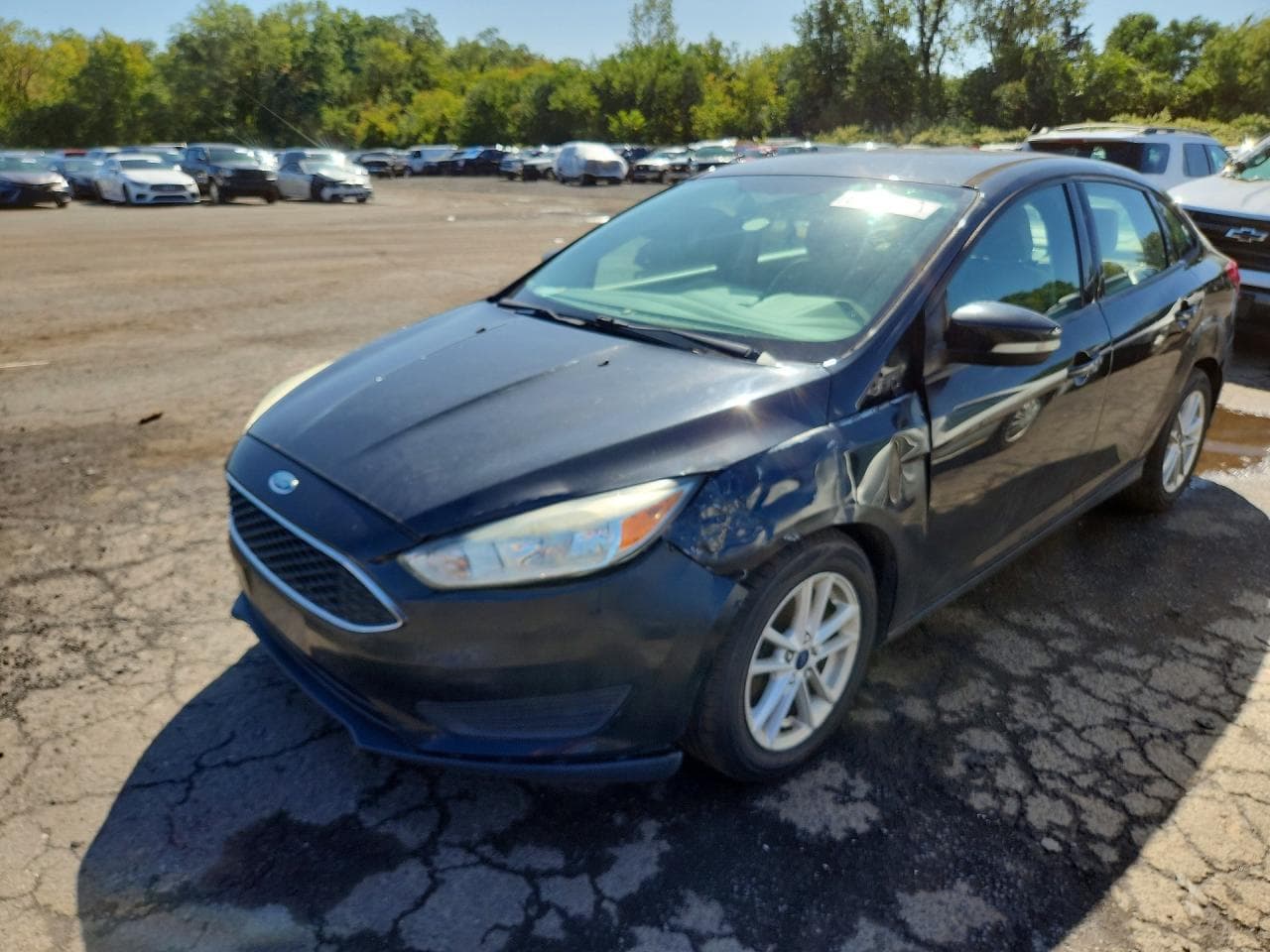 2015 Ford Focus Se