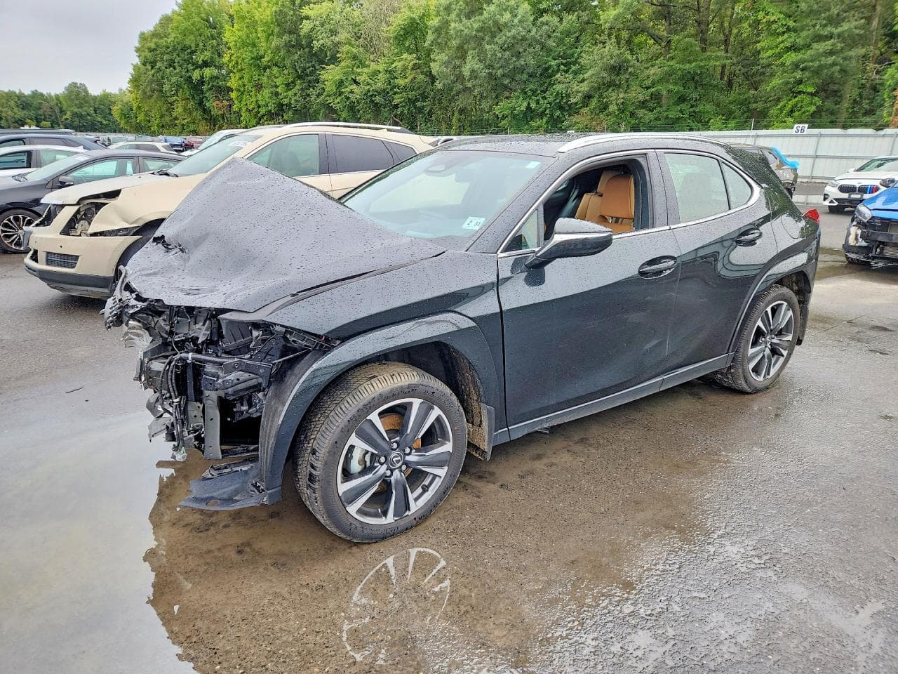 Lexus UX 2025 z USA