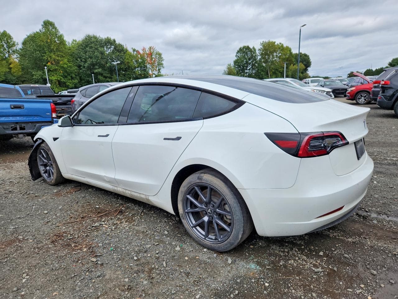2023 Tesla Model 3 - foto 2