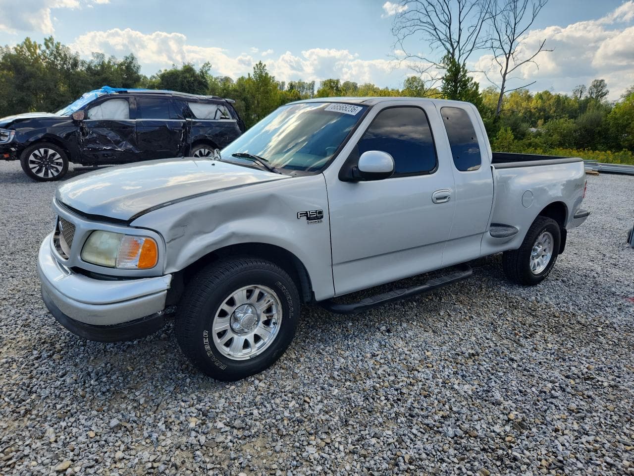 Ford F-150 2002 z USA