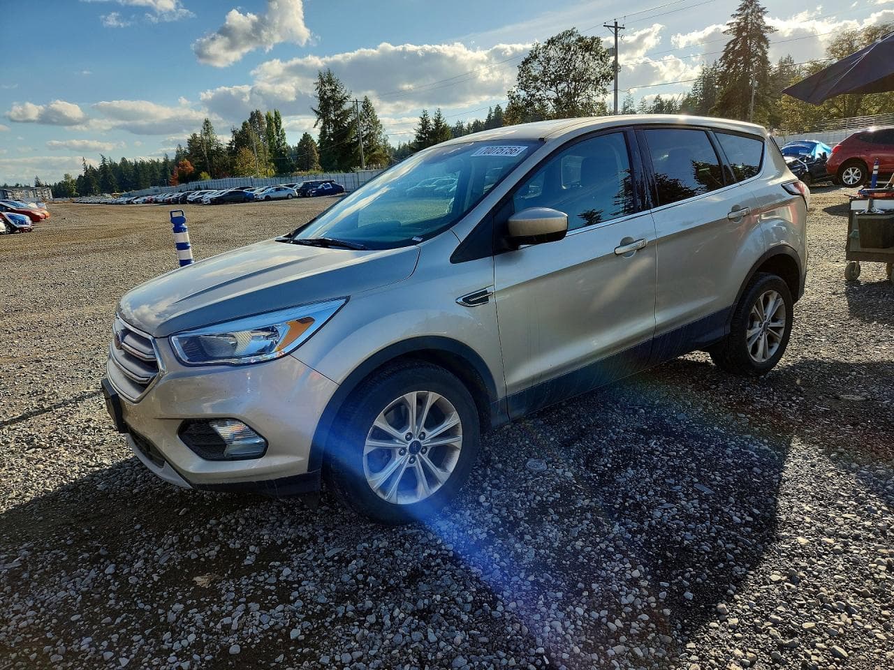Ford Escape 2017 z USA