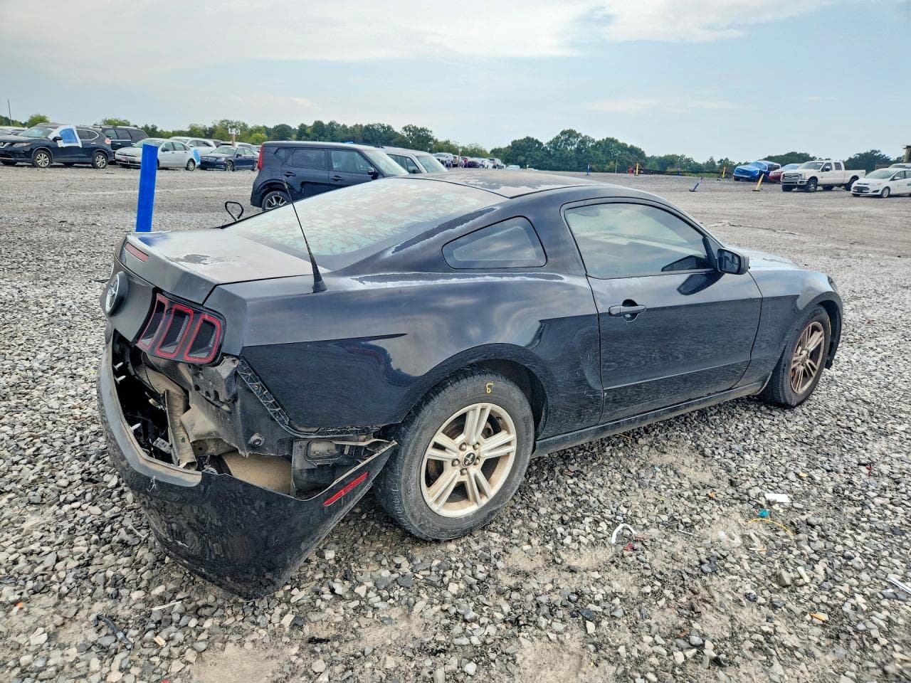 2014 Ford Mustang - foto 3