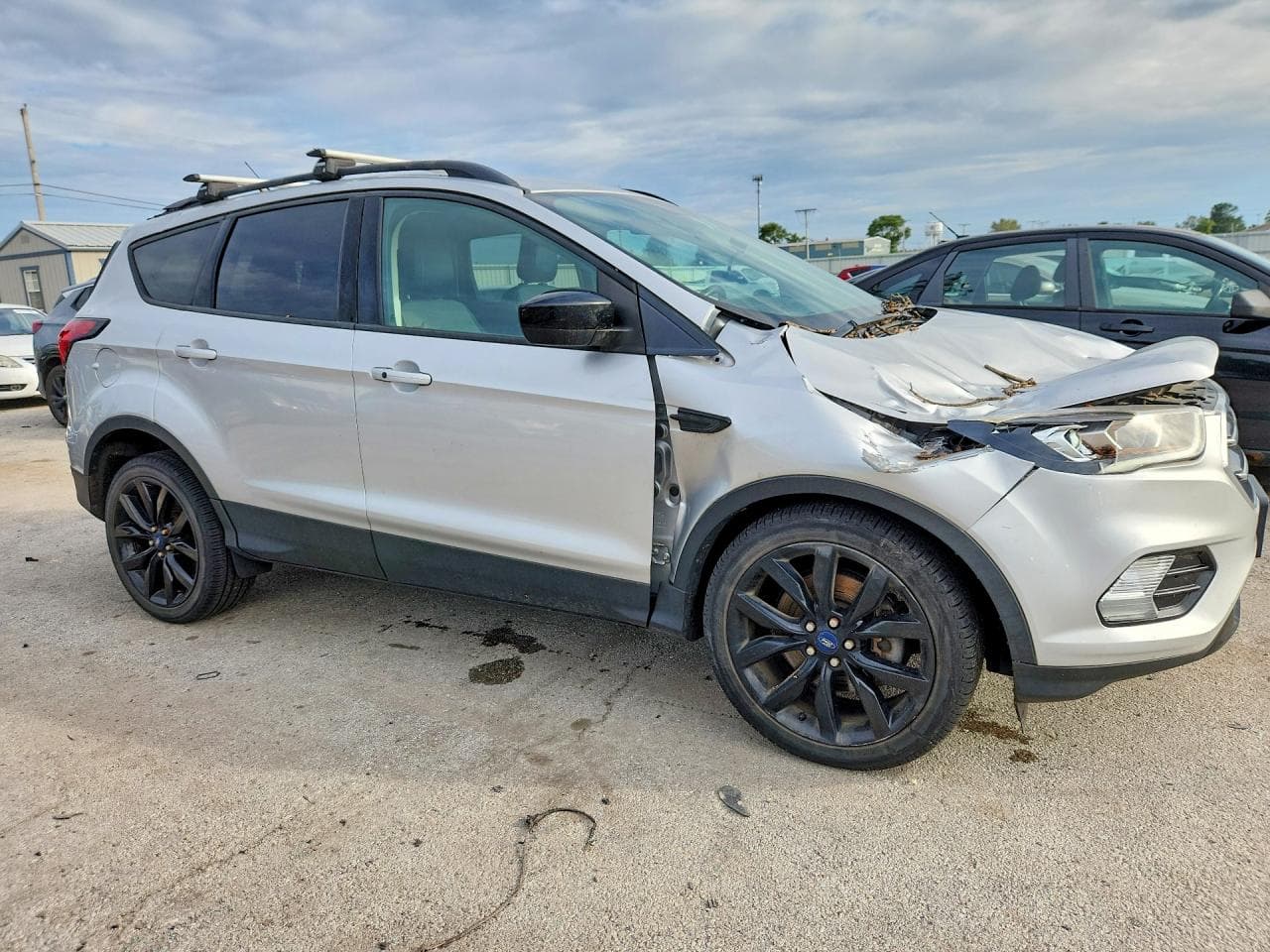 2019 Ford Escape Se - foto 4