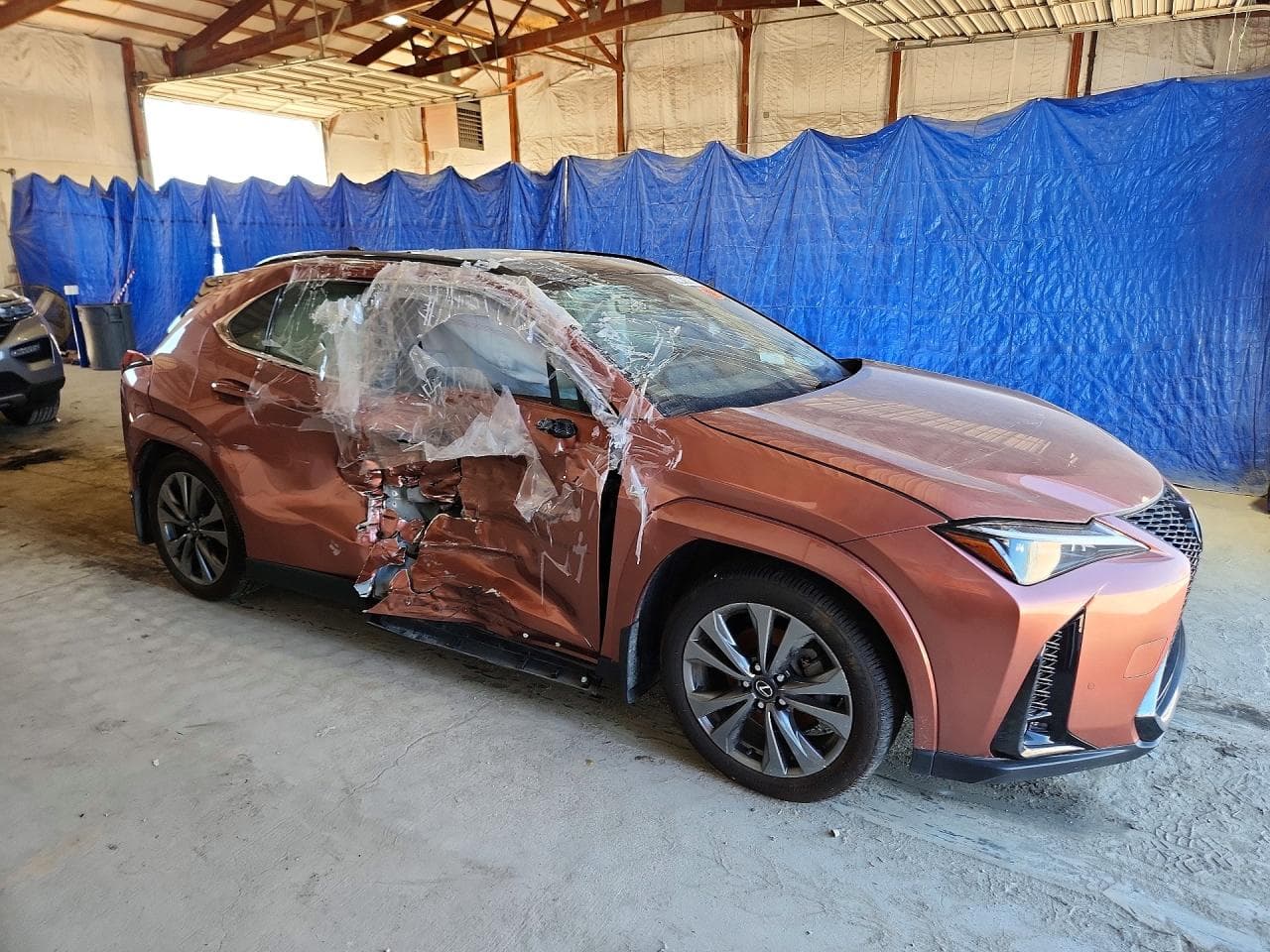 2025 Lexus Ux 300H F Sport Handling - foto 4