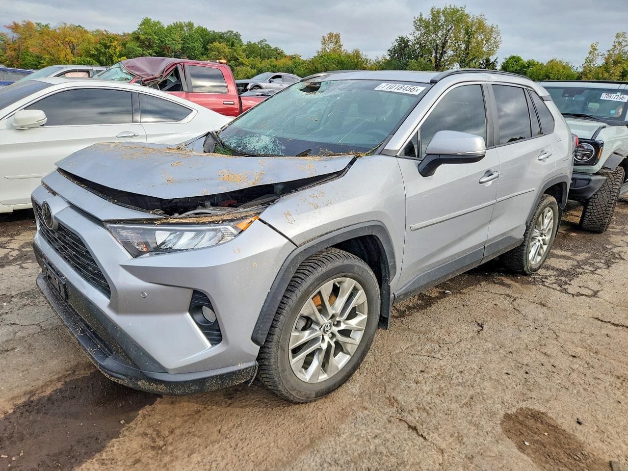 2019 Toyota Rav4 Xle Premium