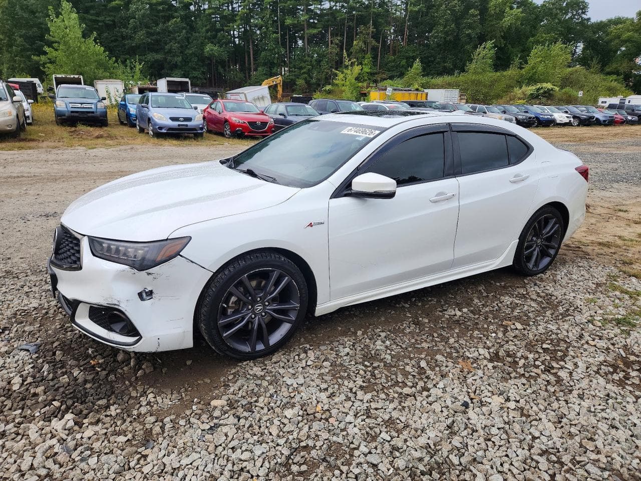 Acura TLX 2019 z USA