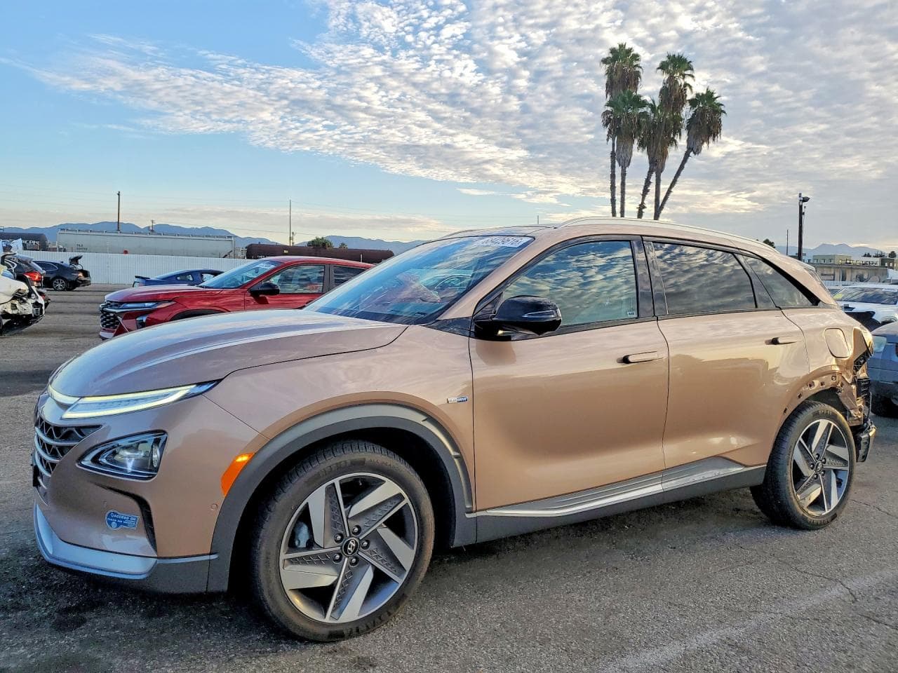 2021 Hyundai Nexo z USA