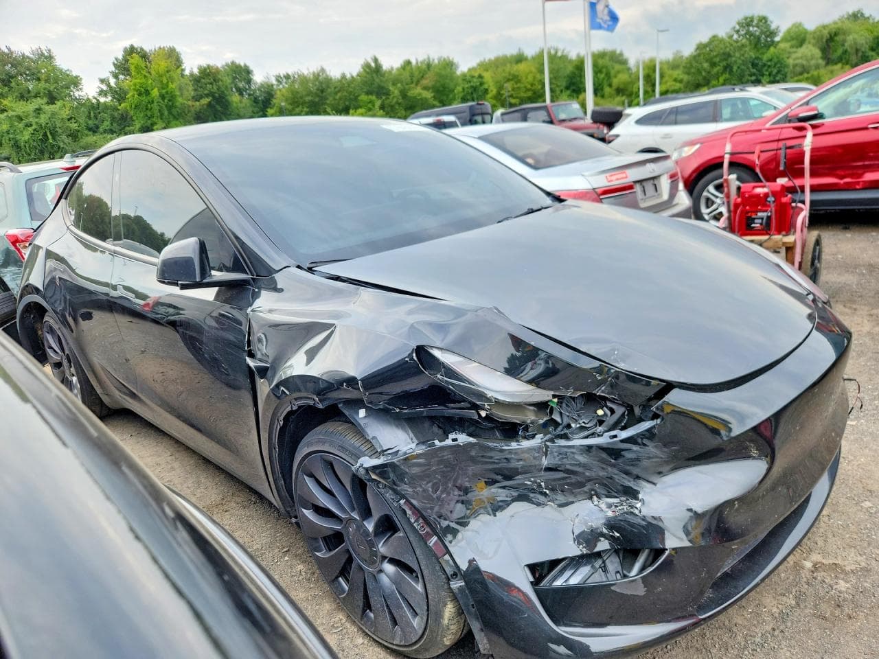 2024 Tesla Model Y - foto 4