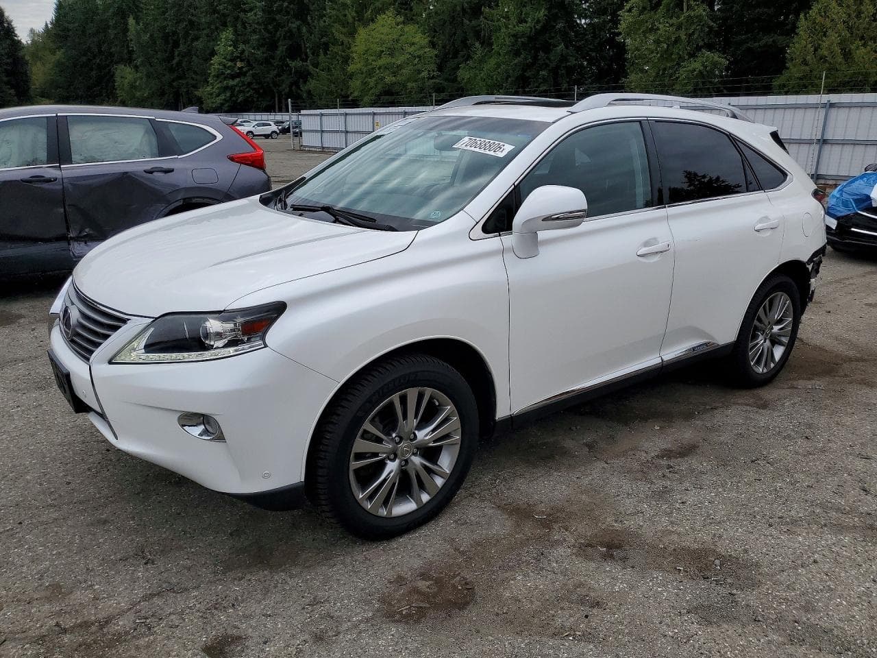 Lexus RX 2014 z USA