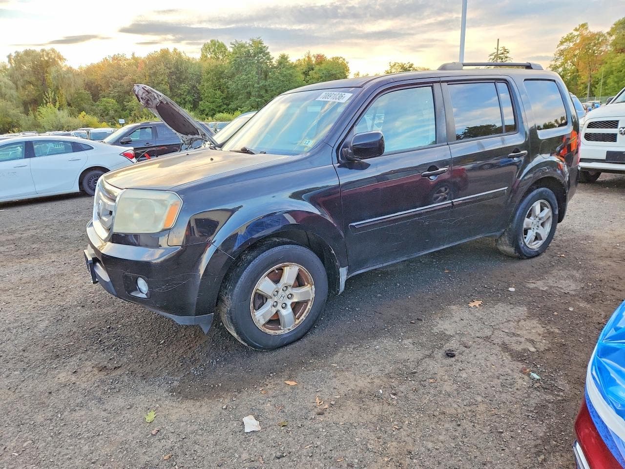 Honda Pilot 2010 z USA