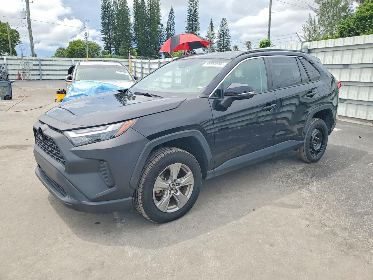 Toyota RAV 4 2024 z USA