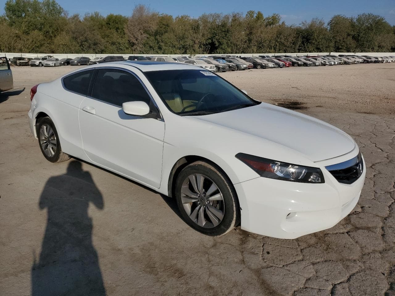 2012 Honda Accord Exl - foto 4