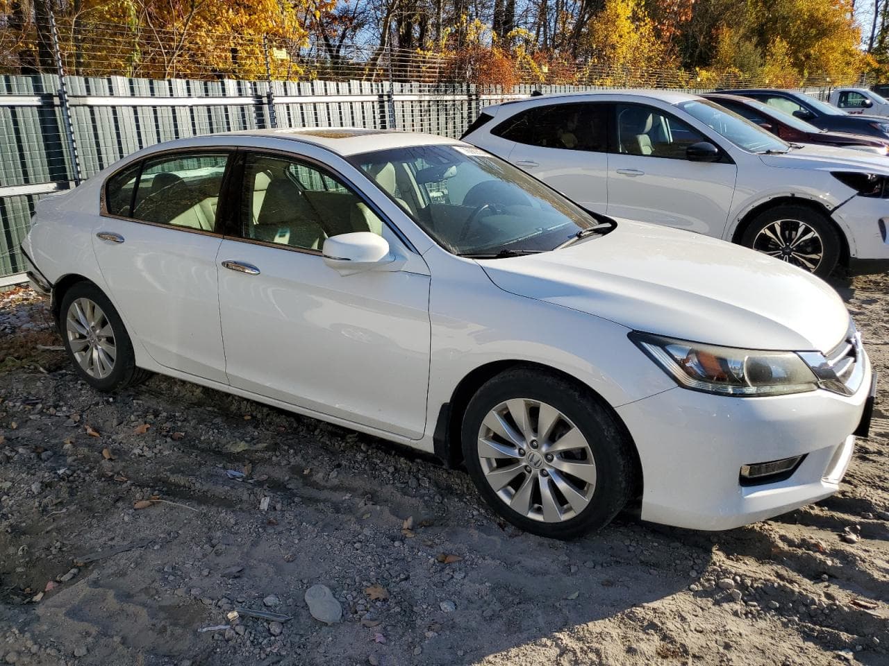 2013 Honda Accord Ex-L V-6 - foto 4