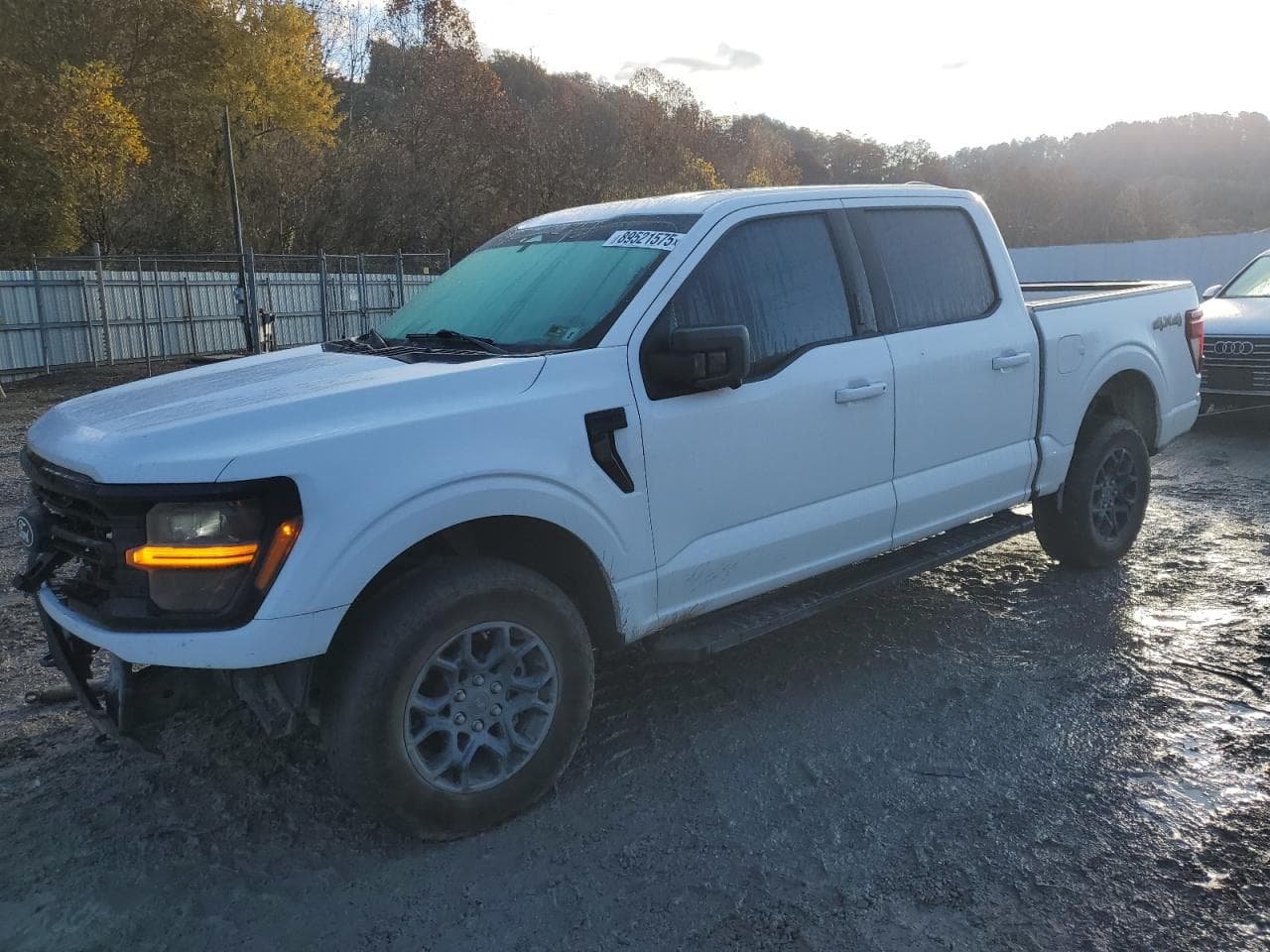 2024 Ford F150 Xlt