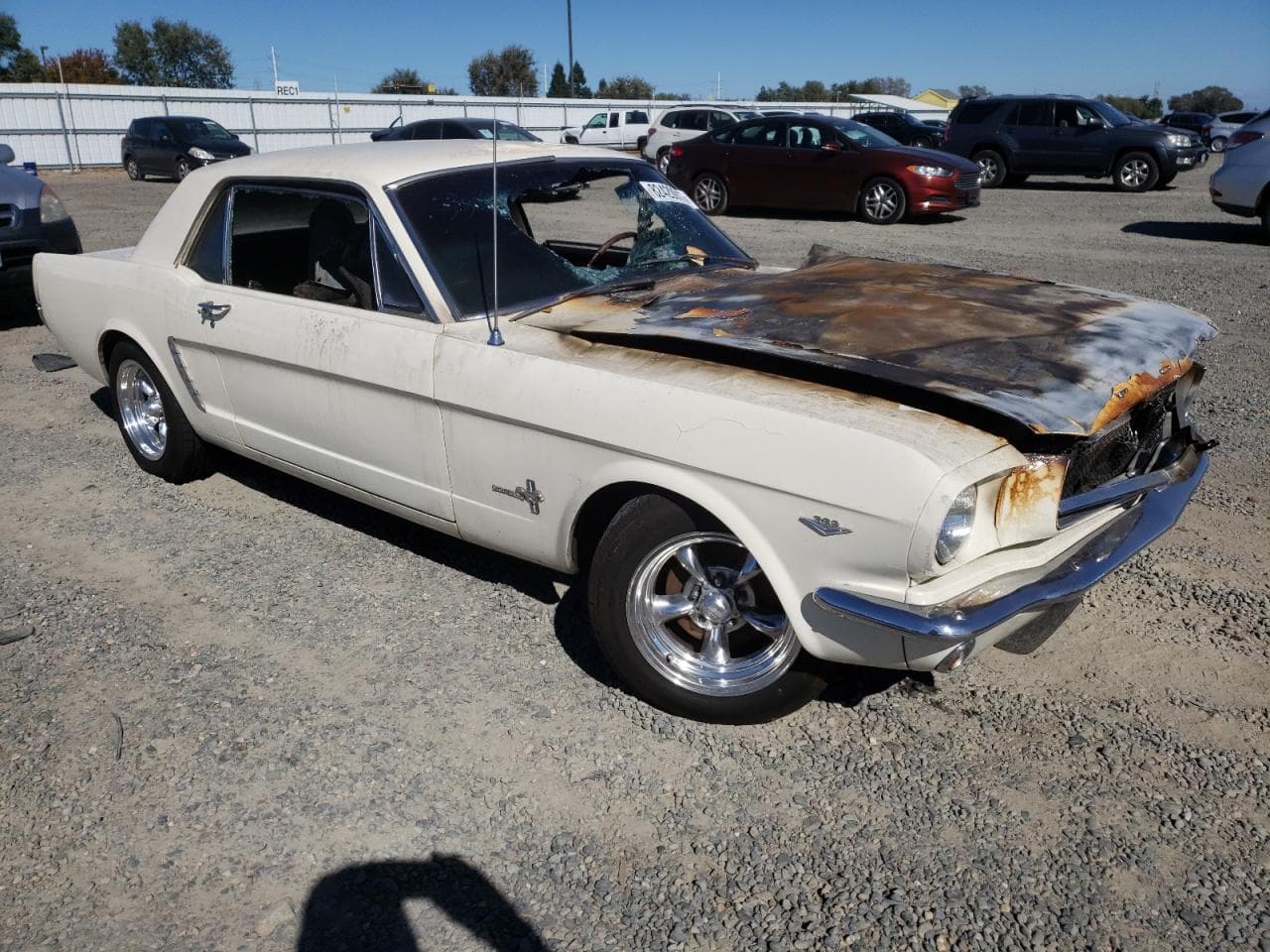 1965 Ford Mustang - foto 4