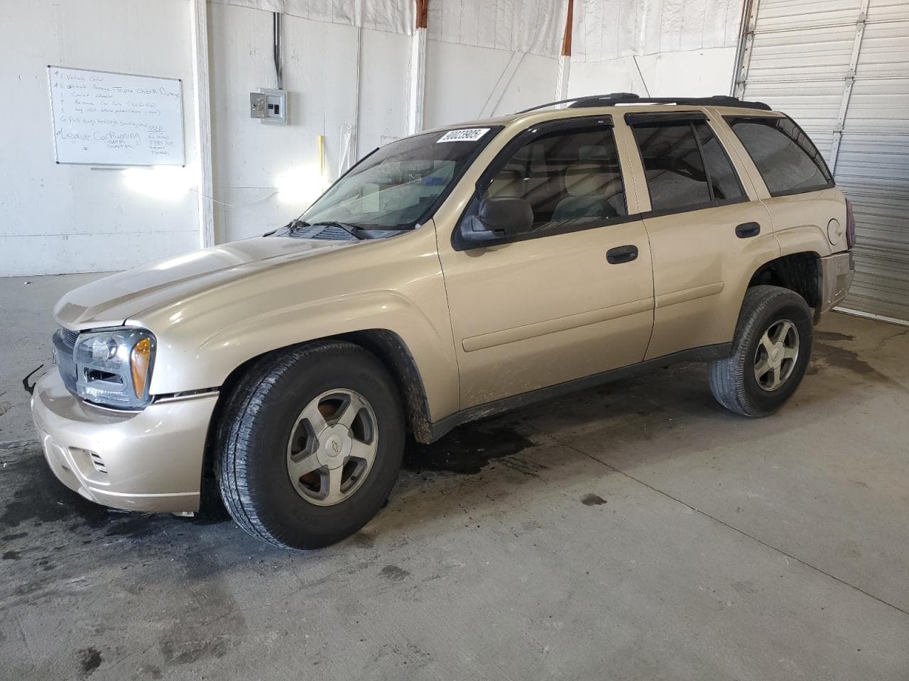 Chevrolet TrailBlazer 2006 z USA