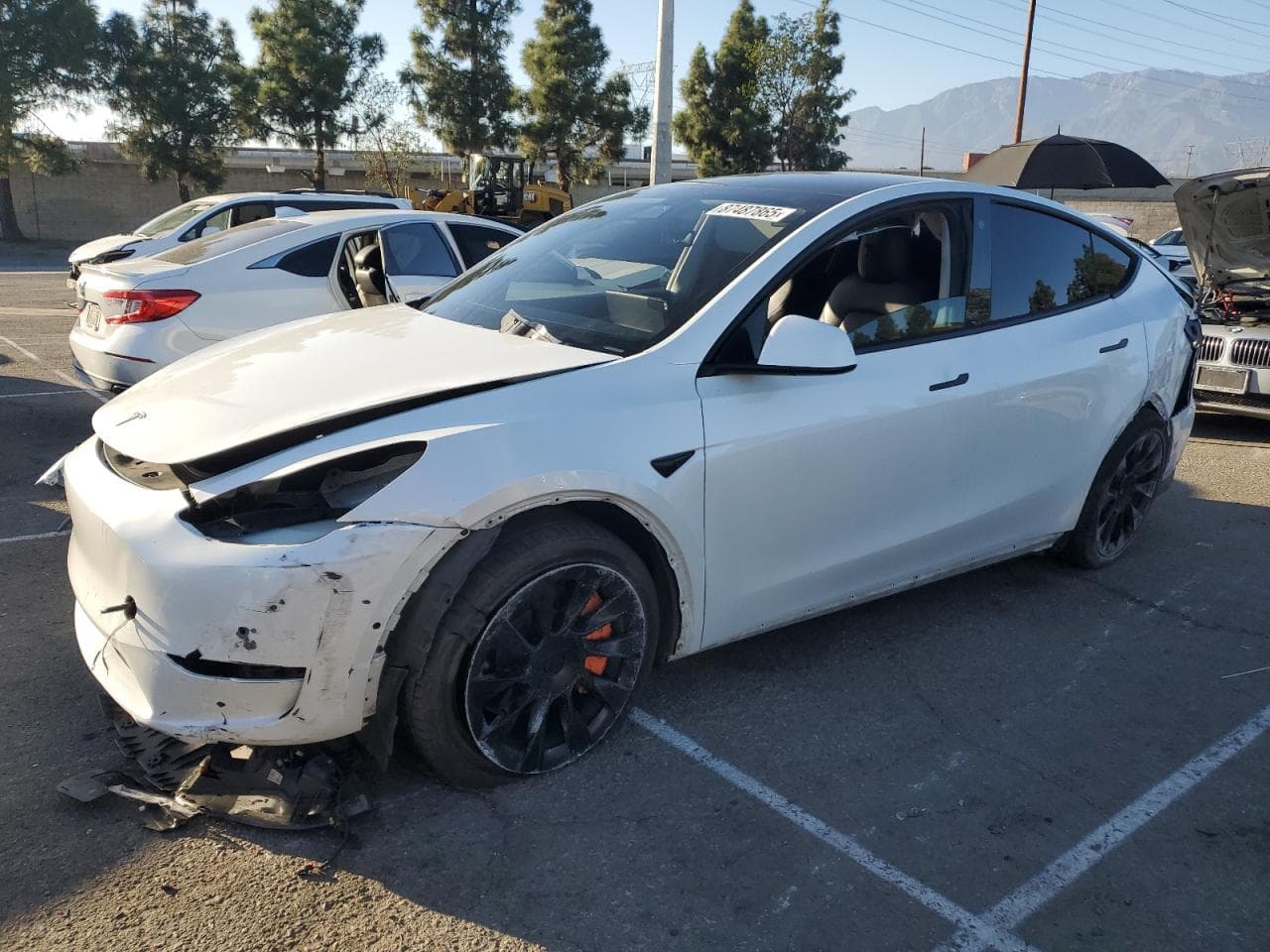 Tesla Model Y 2021 z USA