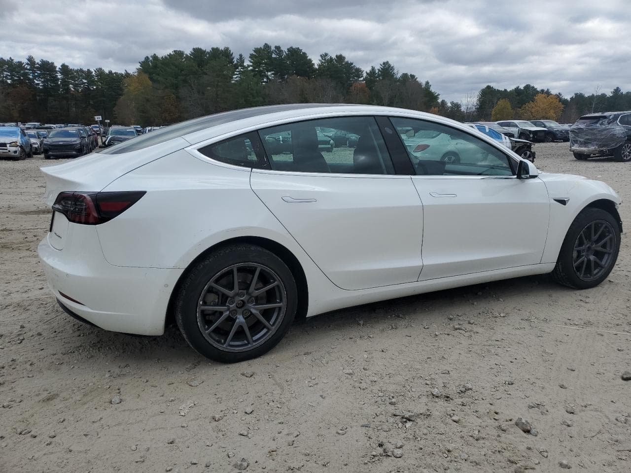 2019 Tesla Model 3 - foto 3