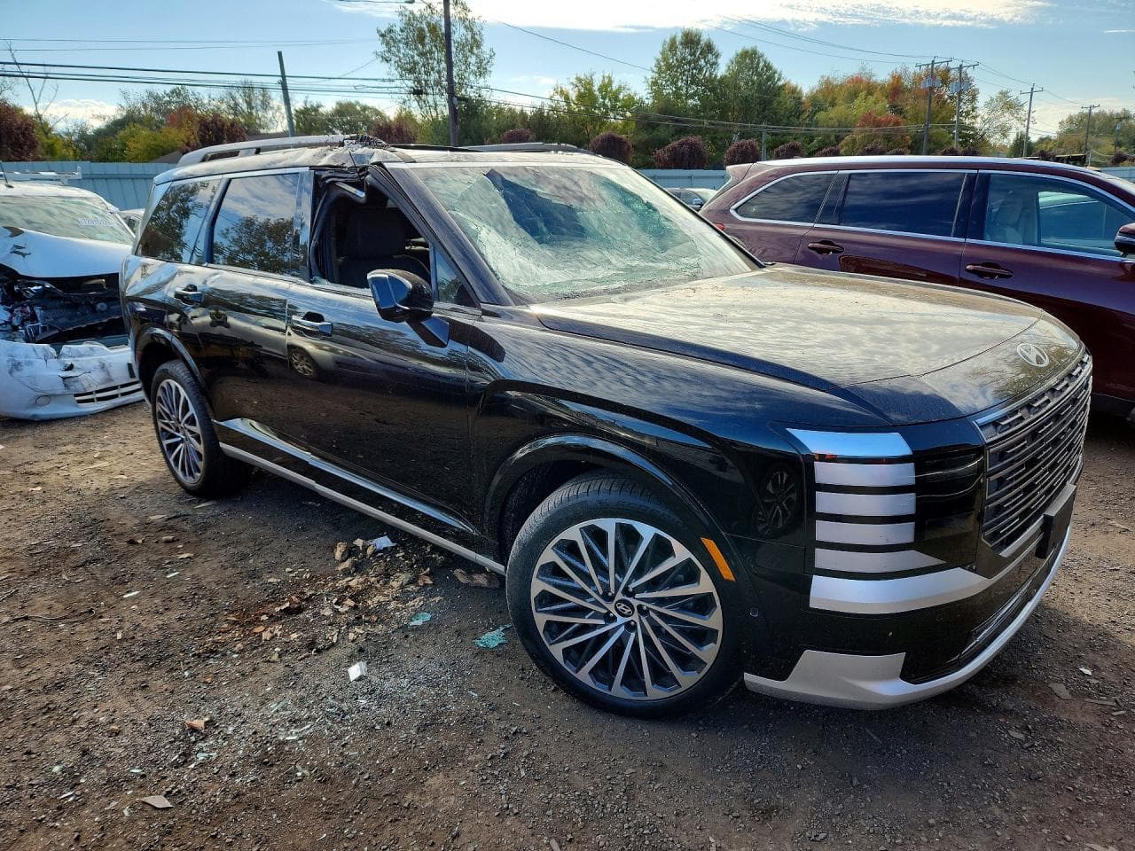 2026 Hyundai Palisade Calligraphy - foto 4
